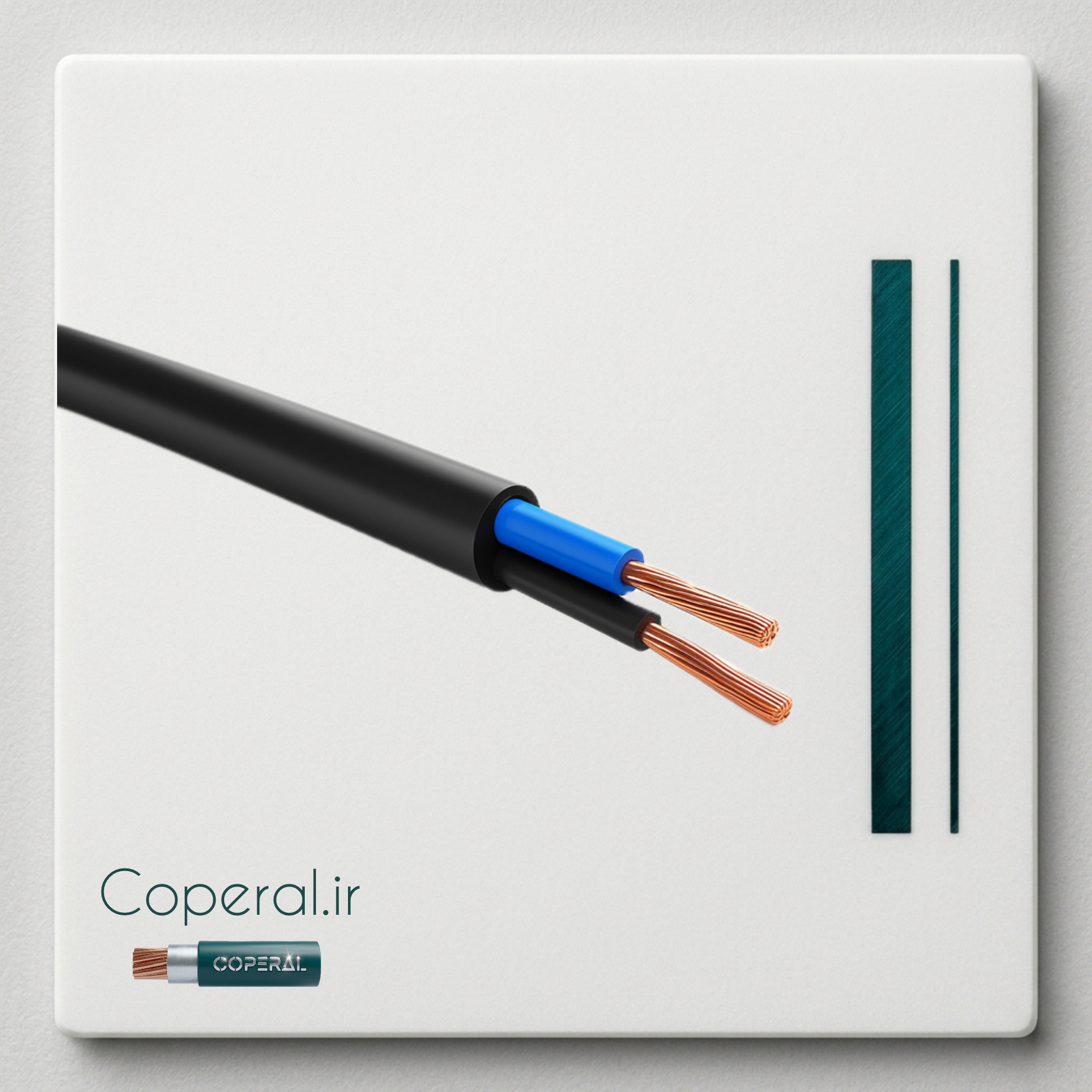 کابل 2 در 1 افشان nymhy کد cs-2-1