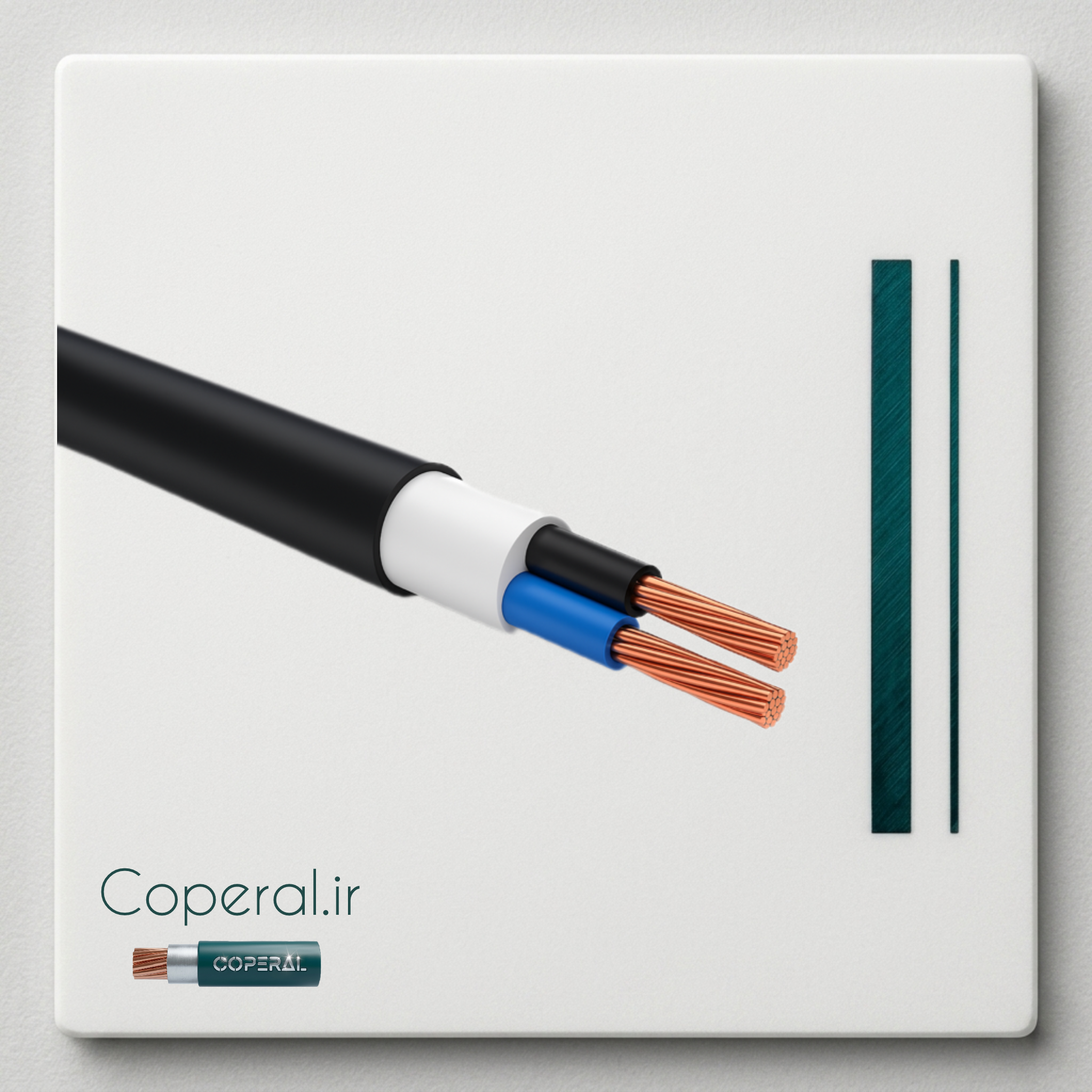 کابل ۲ در ۱۰ مفتول NYY زیتون کد cs-2*۱۰ma